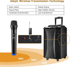 LT-125 2x Universal Wireless Microphone Professional Handheld Mic System +