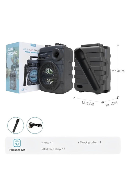 GTS-2065 Bluetooth Karaoke Speaker 6.5 Inch Woofer Wireless Microphone 10W