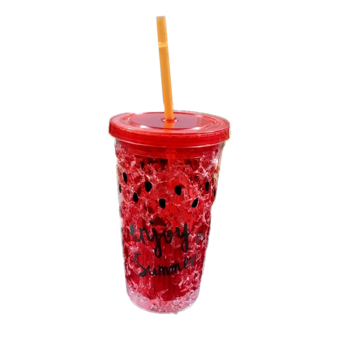 Reusable Plastic Double Wall Water Cup with Straw and Lid