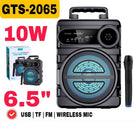 GTS-2065 Bluetooth Karaoke Speaker 6.5 Inch Woofer Wireless Microphone 10W