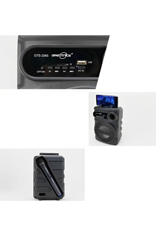 GTS-2065 Bluetooth Karaoke Speaker 6.5 Inch Woofer Wireless Microphone 10W