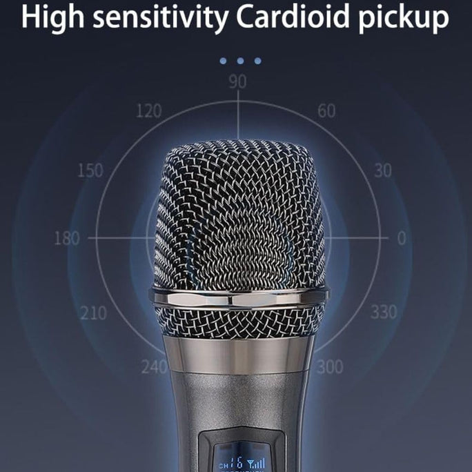 Saeapu TTD-M55 Professional Rechargeable Wireless Microphone VHF Handheld USB