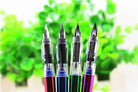 01 pc Fish Fountain Pen Stylish Luxury Fountain Pen Smooth Writing Pen for Women or Men