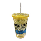Reusable Plastic Double Wall Water Cup with Straw and Lid