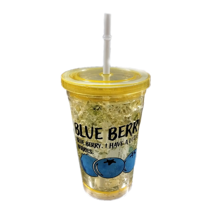 Reusable Plastic Double Wall Water Cup with Straw and Lid