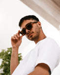 Rave Aero Brown Classic Sunglasses