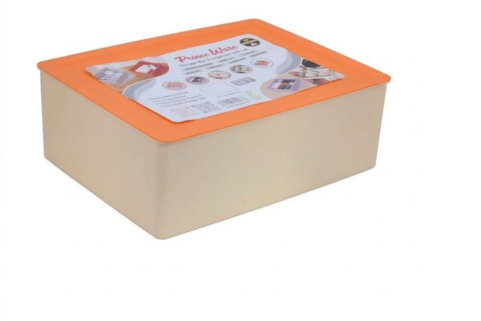 Prince Ware Organizer with Lid | 1 Compartment Storage Box