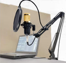 Legendary Vocal Professional Condenser Microphone - Bm 800 Professional Mic