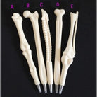01 pc of Novelty Bone Shape Ballpoint Gel Pen 0.7mm Ink Refill Writing Ball Pens School Office Stationery Gifts Supplies