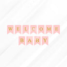 Welcome Baby Letter Bunting Banner Decoration Set