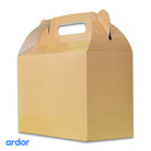 Apricot Colour Goodie Box