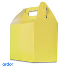 Macron Yellow Colour Goodie Box