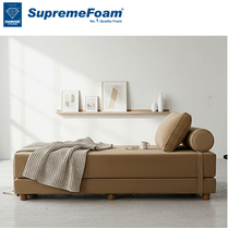Diamond Supreme Foam Restinova Sofa Cum Bed | Diamond Foam Official Store