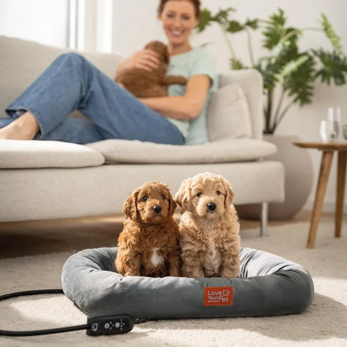 Beurer PP 250 Heating Pad for Pets