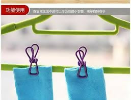 Pack of 10 Multicolor Stainless Steel Clothes Drying Clips