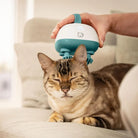 Beurer PP 410 Buddy Pet Massager