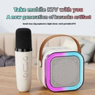K12 Single MIC Speaker