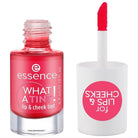 Essence What a Tint Lip & Cheek Tint 02 (4059729490681)