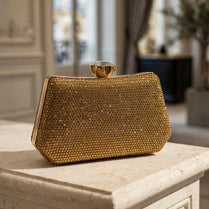 Milli Legacy Crystal Embellished Evening Clutch Bag