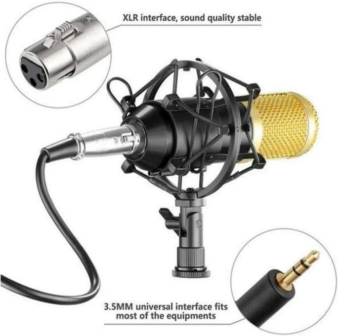 Legendary Vocal Professional Condenser Microphone - Bm 800 Professional Mic