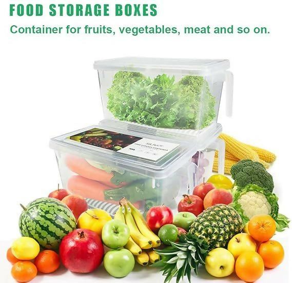 Chill Box Fridge Storage Chill Box With lid And Handle