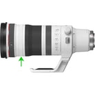 Canon RF 100-300mm f/2.8 L IS USM Telephoto Zoom Lens