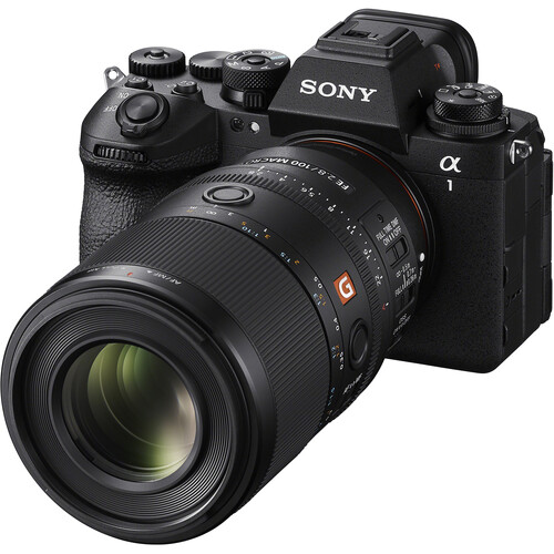 Sony FE 100mm F2.8 Macro GM OSS Lens