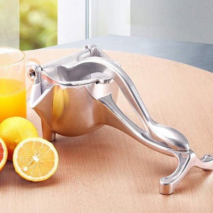 Silver Metal Manual Fruit Press