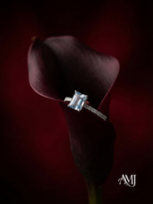 Emerald-Cut Engagement Ring with Pave Band