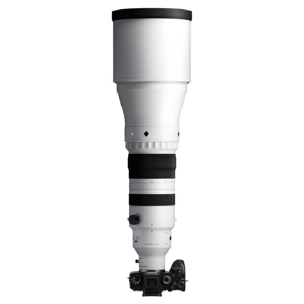Sigma 300-600mm f/4 DG OS Sports Lens (Sony E)